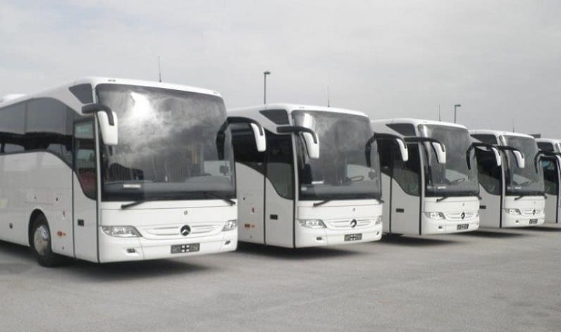 Utrecht: Bus company in Baarn in Baarn and Netherlands