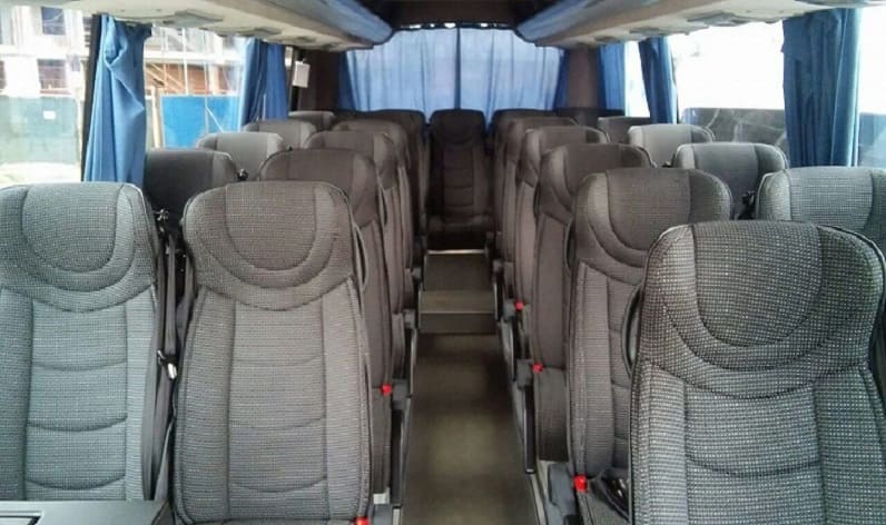 Netherlands: Coach hire in North Holland in North Holland and IJmuiden (Velsen)